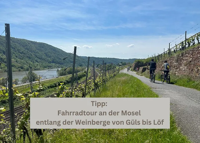 Buddha - Stadtnah, Balkon, Parkplatz, E-ladestation Fuer Autos & Fahrraeder, Fitnessstudio